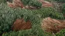 Pemandangan tanah longsor setelah gempa mengguncang Kota Atsuma, Prefektur Hokkaido, Jepang, Kamis (6/9). Gempa Magnitudo 6,6 mengakibatkan sejumlah lereng bukit longsor dan menerjang rumah warga. (Kyodo News via AP)