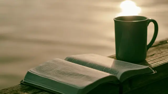 Morning