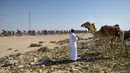 Deretan pebalap sedang berlomba dalam Etape 4 Tour of Qatar antara Al-Zubarah Fort dan Madinat Al-Shamal, (11/2/2016). (AFP/Eric Feferberg)