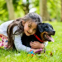 Ilustrasi anjing yang membantu mengurangi stres anak. (Foto: Unsplash/Vitaliy Zalishchyker)