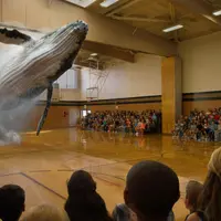 'Paus' yang muncul dari lantai ruang olahraga. (lostateminor.com)