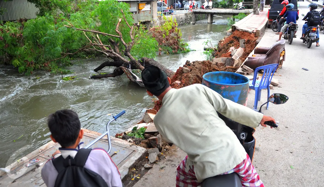 Warga sekitar saat melihat pohon tumbang di bantaran kali poris Tangerang, Jum'at, (26/2). Pohon tersebut tumbang pada siang tadi pukul 12.30 WIB. (Liputan6.com/Faisal R Syam)
