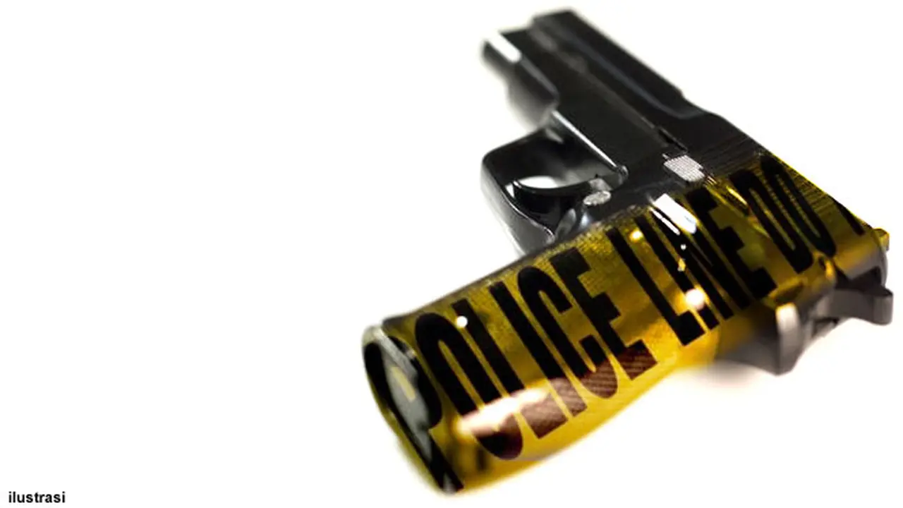 pistol-130304b.jpg