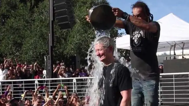 Tim Cook ikut Ice Bucket Challenge