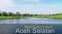 Destinasi: Berburu Ikan dan Madu Aceh Selatan