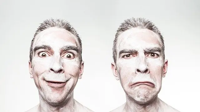 Bipolar (Image by Ryan McGuire from Pixabay)