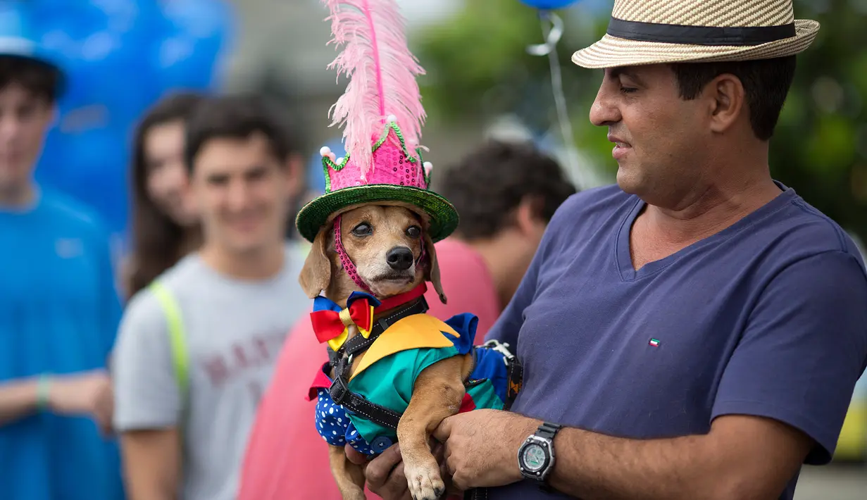 Seekor anjing dihias dan mengenakan kostum digendong pemiliknya saat mengikuti karnaval anjing "Blocao" di pantai Copacabana di Rio de Janeiro, Brasil (4/2). Karnaval Blocao ini bagian dari karnaval tahunan di Ibu Kota Brasil. (AP Photo/Silvia Izquierdo)