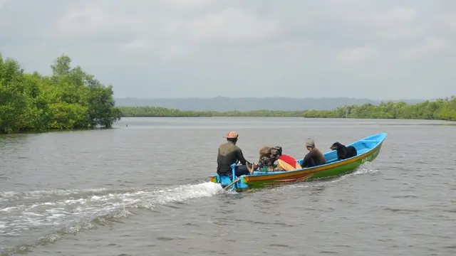 Sebuah perahu jukung melintas di kawasan mangrove, Laguna Segara Anakan, Cilacap, Jawa Tengah. Foto: Liputan6.com/Muhamad Ridlo)