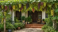 Buah Apa yang Bagus Ditanam di Depan Rumah? Ini 10 Rekomendasinya