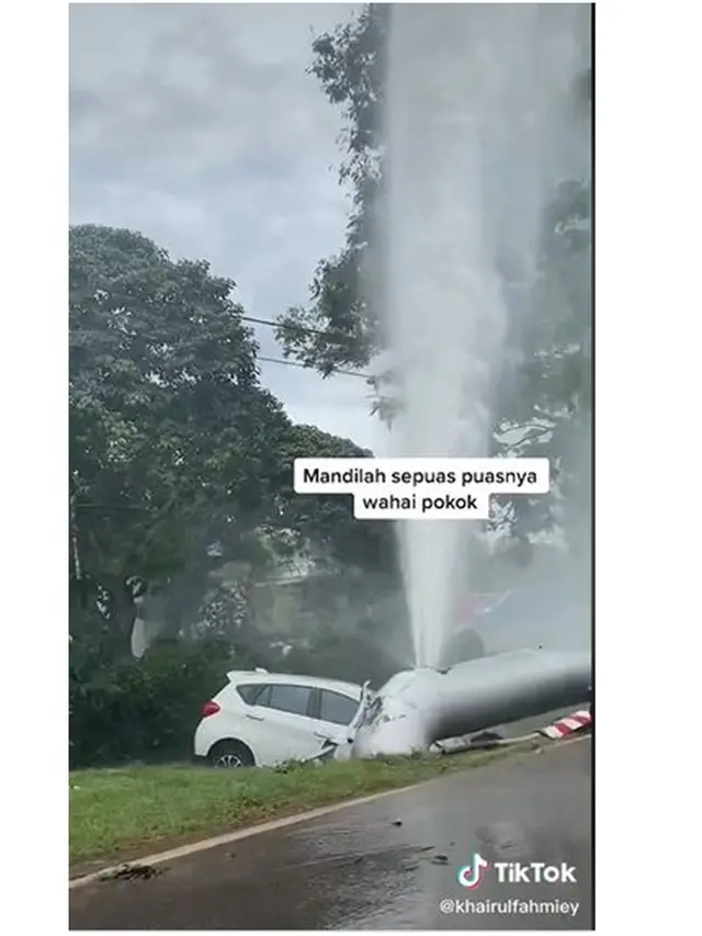 Dikira Kejadian Alam, Pria Ini Rekam Penampakan Pohon Bak Diguyur Air dari Langit