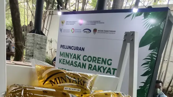DMO Minyakita September 2026 Diprediksi Naik, Ekspor Jadi Pemicu