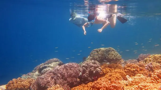 Pantai Tujuh, Tandingan Ora di Maluku Tengah