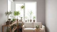 7 Tanaman Hias Indoor yang Tahan AC dan Minim Cahaya, Cocok untuk Apartemen