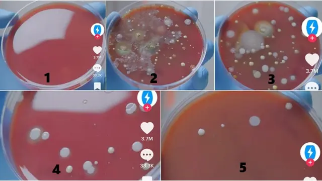 Mengejutkan, Ini Hasil Eksperimen Setelah Pakai Pengering Tangan di Toilet
