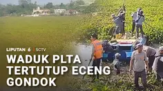 Waduk PLTA Tertutup Eceng Gondok