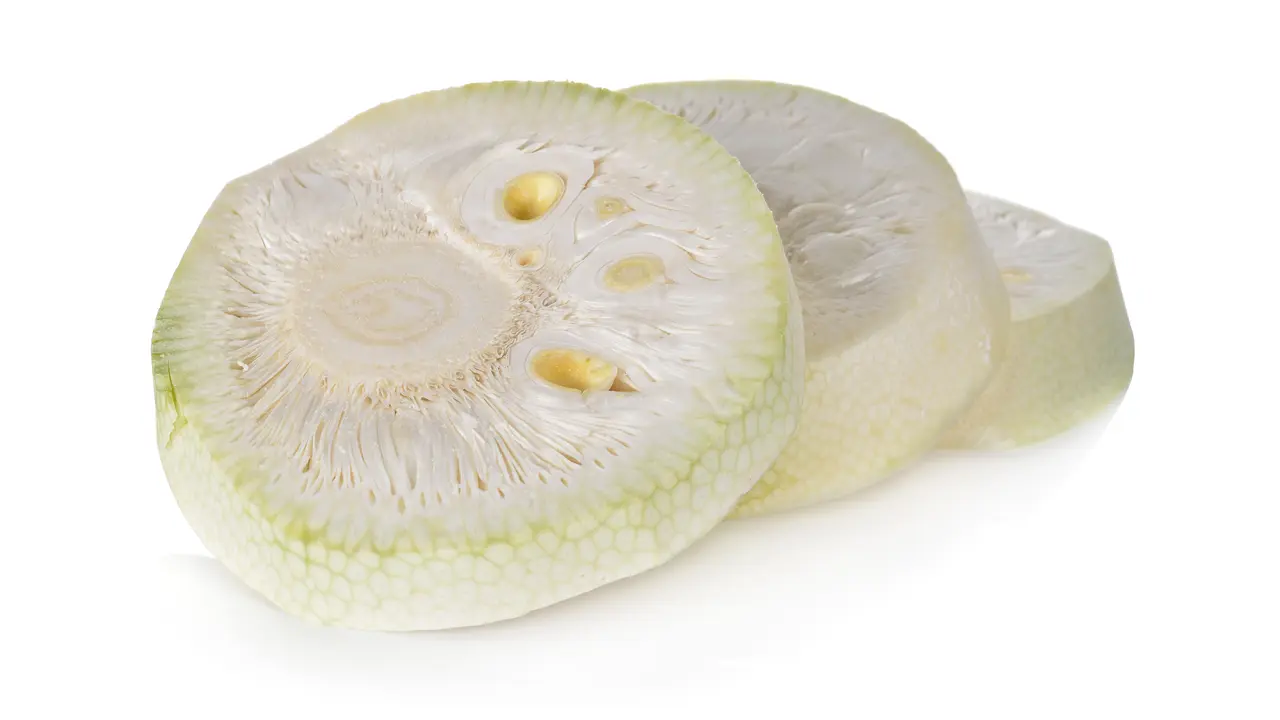 nangka muda