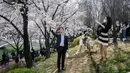 Seorang pria berpose untuk foto di sebelah pohon sakura di Seoul, Korea Selatan, pada 6 April 2022. Musim semi telah tiba, saatnya berburu bunga sakura yang bermekaran. (ANTHONY WALLACE / AFP)