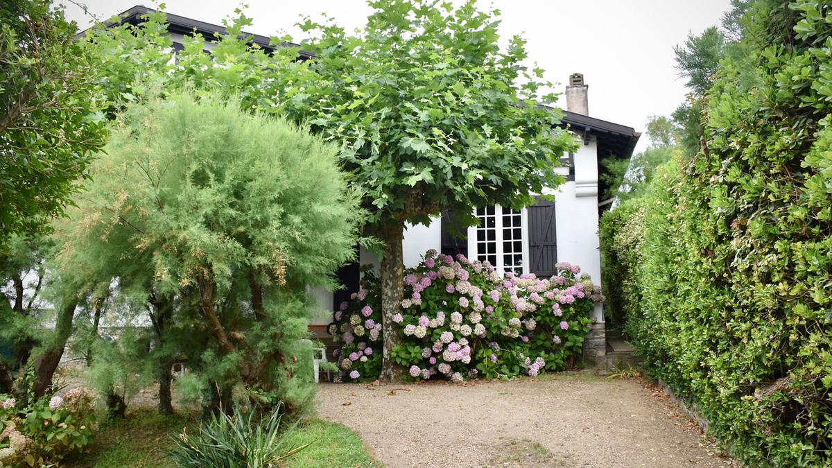 14 Jenis-Jenis Bunga Taman dan Karakteristiknya yang Populer – Home Garden