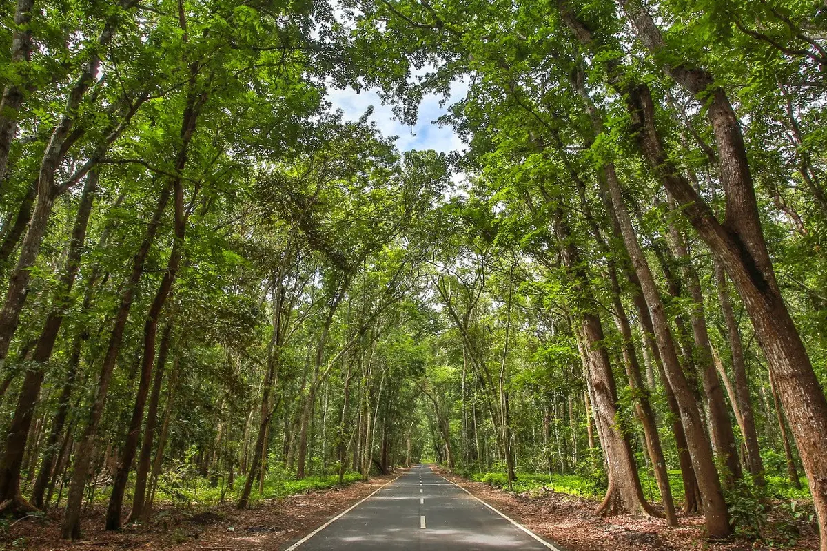 Taman Nasional Alas Purwo Banyuwangi (Istimewa)