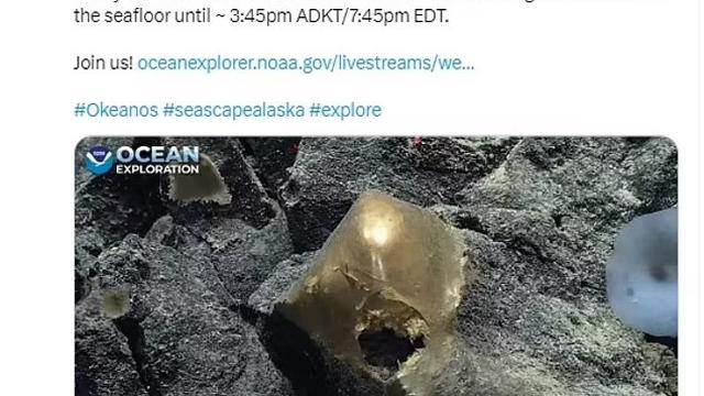 NOAA umumkan penemuan objek misterius yang menyerupai telur emas di dasar laut Alaska