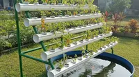 9 Desain Kebun Sayur Vertikultur Tanpa Tanah untuk Lahan Sempit