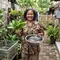 Cara Menanam Pakcoy di Botol Bekas Sambil Memelihara Ikan, Hemat Tempat dan Bisa Panen Sekaligus