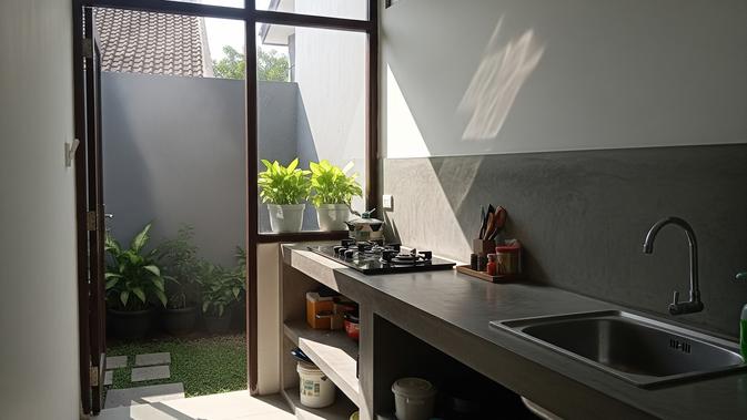 Rahasia Dapur Bebas Hama: 6 Tanaman Hias Ampuh Usir Serangga Secara Alami