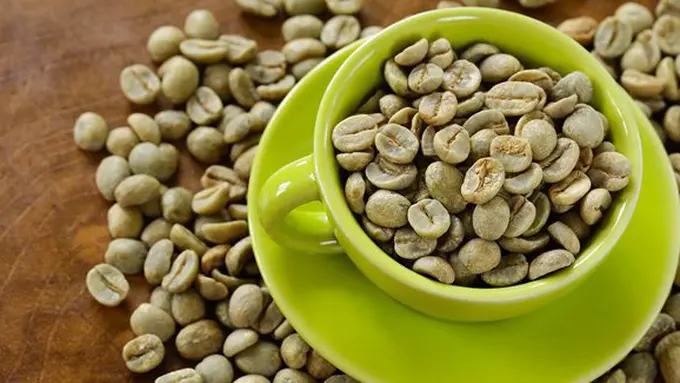 copyright by Shutterstock.com