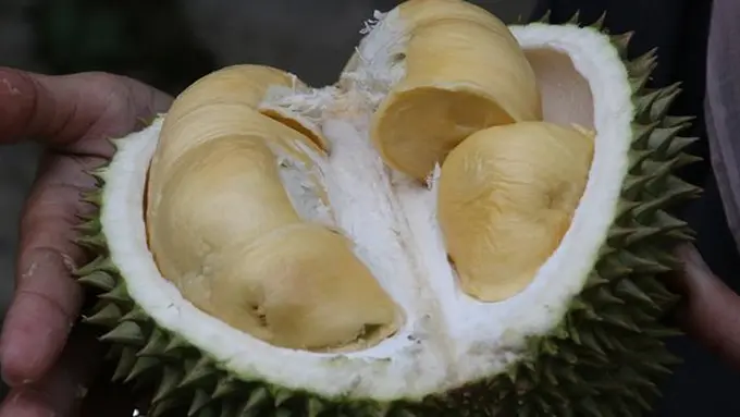 Copyright: pexels.com/christopher1710