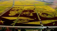 Ini Dia, Potret Seni Lukis Sawah Terbesar di Dunia