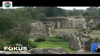 Tenyata banyak pengunjung yang mengetahui Tebing Koja dari media sosial.