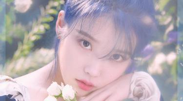 Lirik Lagu Iu Blueming News Entertainment Fimelacom