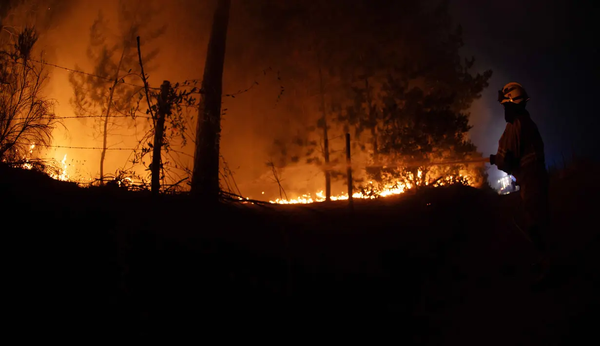 Sedikitnya 19 orang tewas akibat kebakaran hutan panas ekstrem. Tampak dalam foto, seorang petugas pemadam kebakaran berusaha memadamkan vegetasi yang terbakar selama kebakaran hutan di kota Florida dekat kota Concepcion, Chile, pada Senin 19 Januari 2026. (Raul BRAVO/AFP)