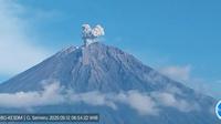 Gunung Semeru erupsi, Tinggi Letusan Capai 700 Meter (Istimewa)
