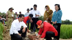 Gubernur Kalimantan Barat, Drs. Cornelis, M.H (kanan) bersama dengan Presiden Jokowi meletakkan batu pertama pembangunan saluran irigasi tersier di Bendungan Irigasi Tersier, Kalbar, Selasa (20/1/2015). (Rumgapres/Agus Suparto)