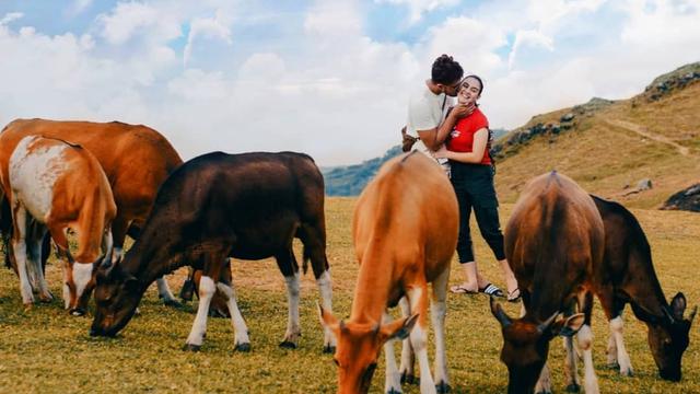 Ammar Zoni dan Irish Bella