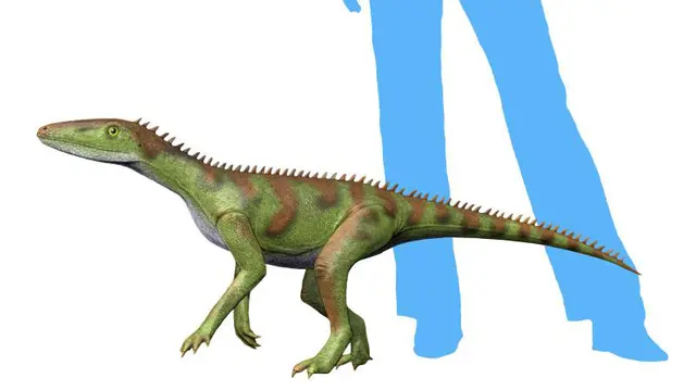 Fosil Lewisuchus, Wikipedia