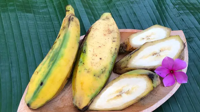 pisang muda