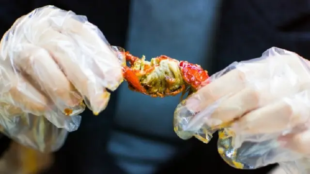 pengupas lobster dapat gaji fantastis (shutterstock)