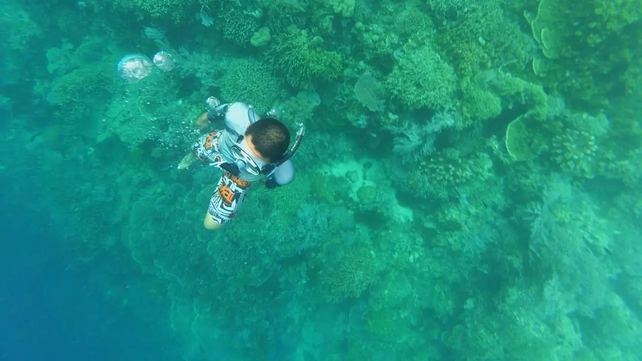 [Bintang] Sulawesi