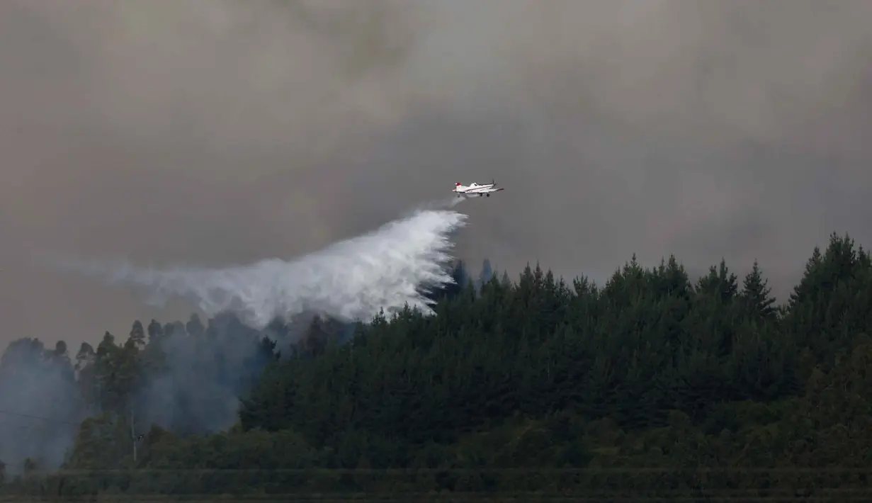 Kebakaran hutan tersebut juga menghancurkan permukiman dan infrastruktur di sejumlah kota. Tampak dalam foto, sebuah pesawat pemadam kebakaran menjatuhkan air di zona kebakaran hutan di Concepcion, Chile pada 18 Januari 2026. (Raul BRAVO/AFP)