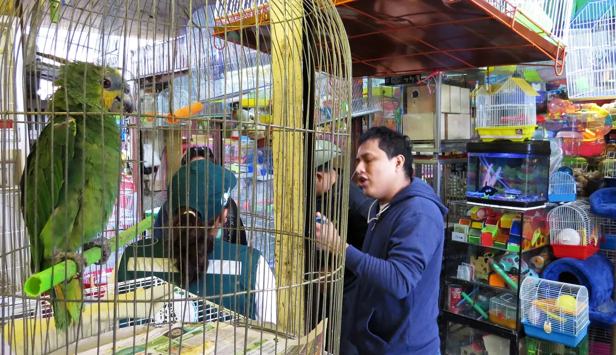 Sebuah pasar yang menawarkan sejumlah binatang langka di Trujillo, Lima, Peru (12/7). Menurut pihak berwenang, lebih dari 20 persen dari 68.000 spesimen disita dalam 15 tahun terakhir. (AFP PHOTO)