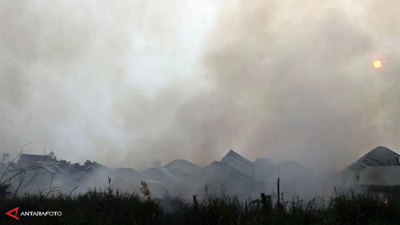 kabut-asap-riau-140221c.jpg