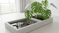 7 Ide Kolam Mini yang Menyatu dengan Pot Tanaman dan Sedang Jadi Tren di Rumah Minimalis