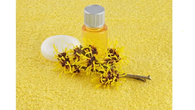 witch hazel