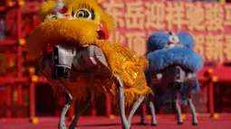 Pertunjukan tersebut melibatkan robot berkaki empat (seperti robot anjing) yang dipasangi kepala singa untuk menirukan tarian barongsai tradisional. Tampak dalam foto, Sebuah robot berkaki empat yang dilengkapi dengan kepala singa melakukan pertunjukan selama hari kedua perayaan Tahun Baru Imlek 2577 Kongzili di sebuah pekan raya kuil di Beijing pada Rabu 18 Februari 2026. (AP Photo/Vincent Thian)