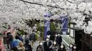 Orang-orang yang memakai masker berjalan-jalan di bawah bunga sakura yang mekar penuh di Kuil Zojoji, Tokyo, Jepang, Selasa (29/3/2022). (AP Photo/Koji Sasahara)