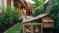 6 Model Kandang Ayam Kecil untuk Halaman Sempit, Tetap Nyaman dan Bersih