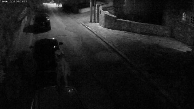 4 Cerita Horor Sosok Mengerikan yang Tertangkap Kamera