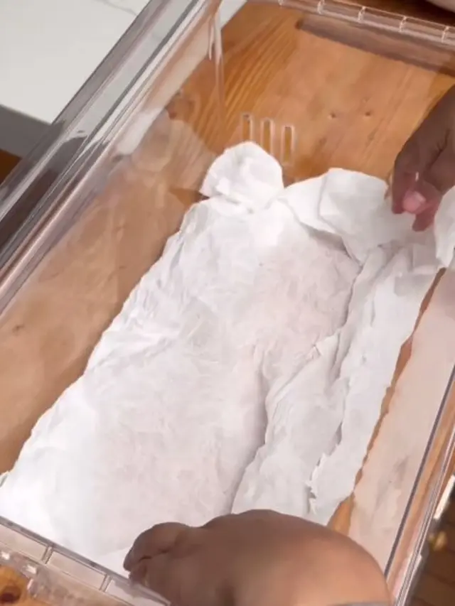 Bukan DIbungkus Tisu, Begini Cara Awetkan Timun Agar Tetap Segar Sampai Sebulan